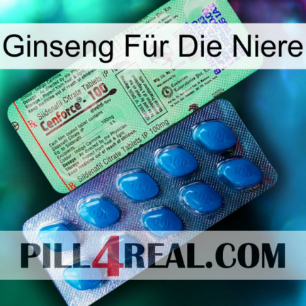 Ginseng Für Die Niere new02